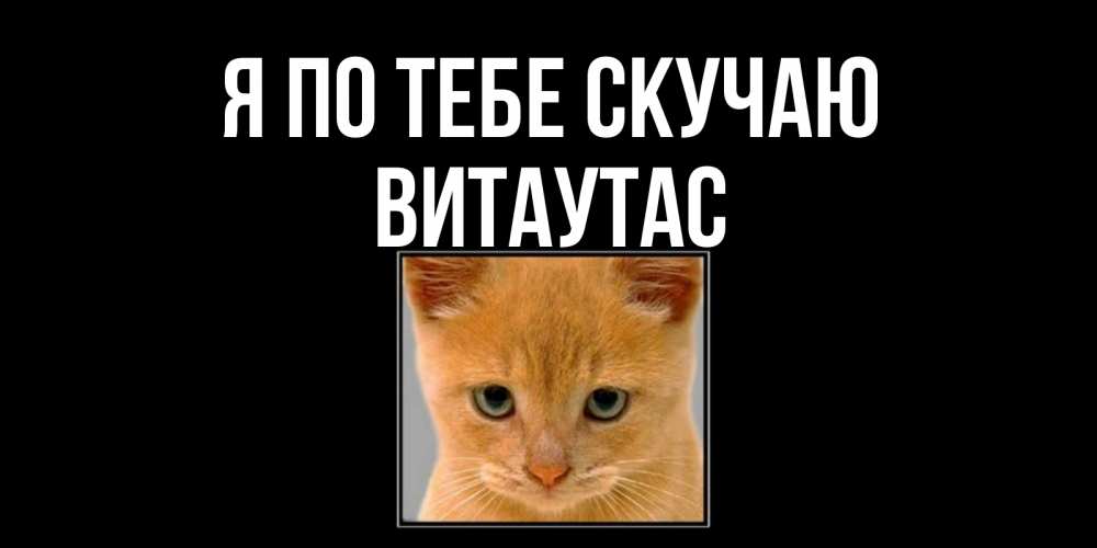 Открытка на каждый день с именем, Витаутас Я по тебе скучаю открытки рыжий котенок скучает по тебе Прикольная открытка с пожеланием онлайн скачать бесплатно 