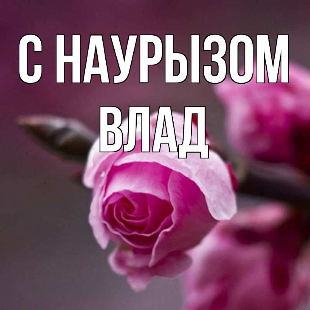 Картинка С наурызом, Влад