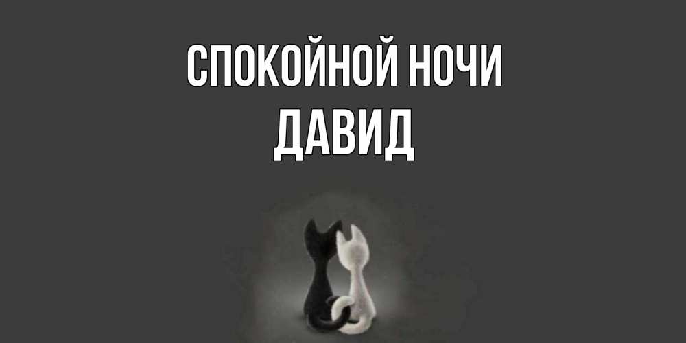 Открытка на каждый день с именем, Давид Спокойной ночи коты Прикольная открытка с пожеланием онлайн скачать бесплатно 