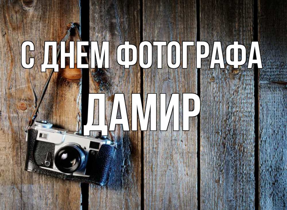 Открытка на каждый день с именем, Дамир С днем фотографа с днем фотографа Прикольная открытка с пожеланием онлайн скачать бесплатно 