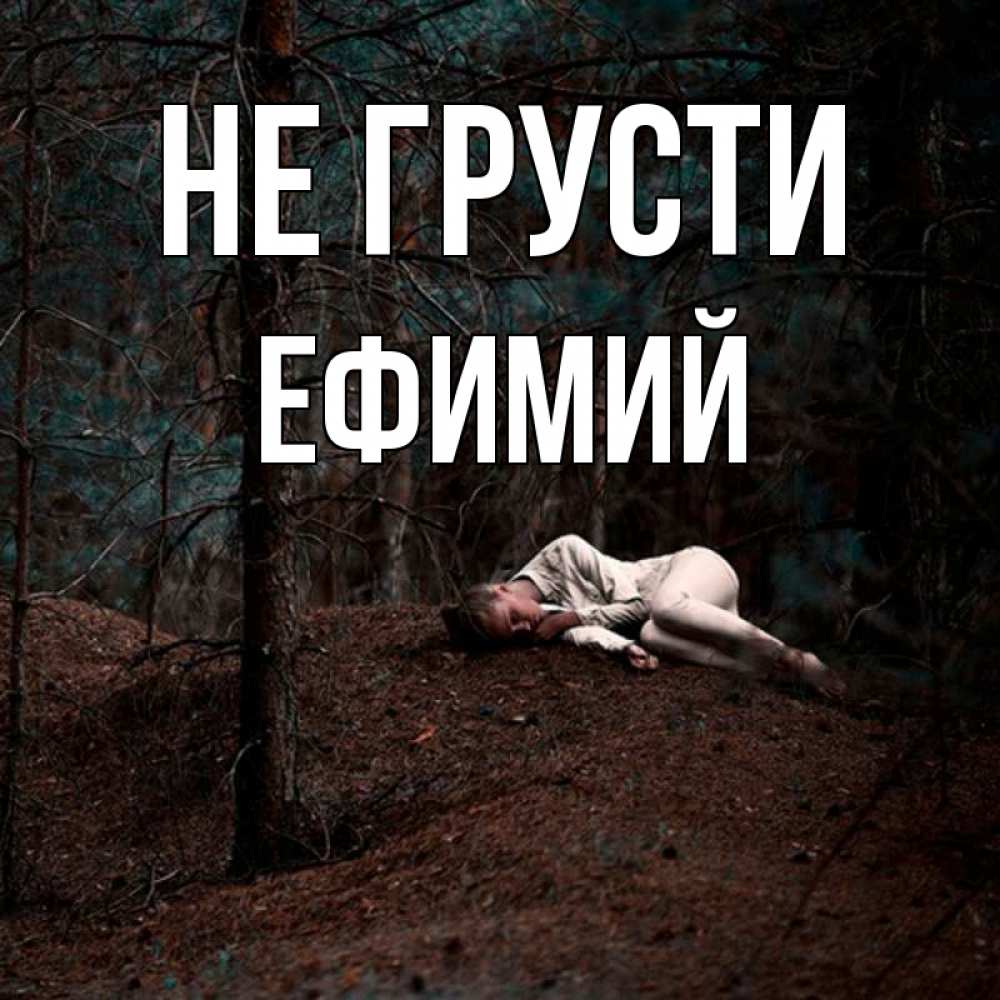 Открытка на каждый день с именем, Ефимий Не грусти лес Прикольная открытка с пожеланием онлайн скачать бесплатно 
