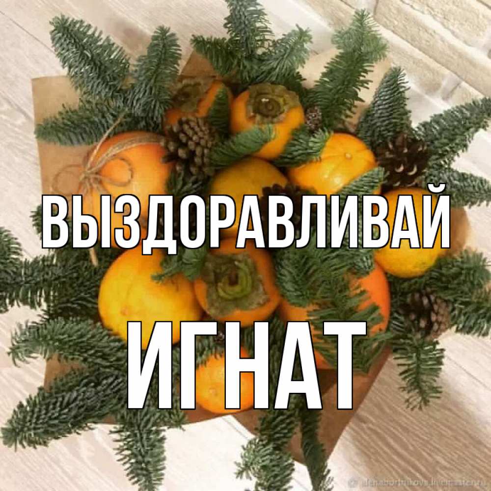 Открытка на каждый день с именем, Игнат Выздоравливай апельсины и хурьма Прикольная открытка с пожеланием онлайн скачать бесплатно 