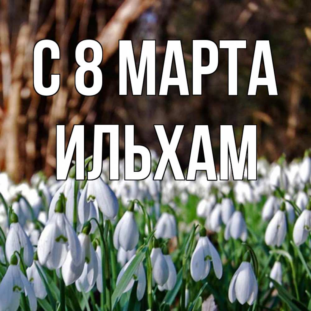 Открытка на каждый день с именем, Ильхам С 8 МАРТА с подснежниками 1 Прикольная открытка с пожеланием онлайн скачать бесплатно 