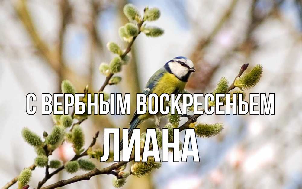 Открытка на каждый день с именем, Лиана С вербным воскресеньем верба Прикольная открытка с пожеланием онлайн скачать бесплатно 