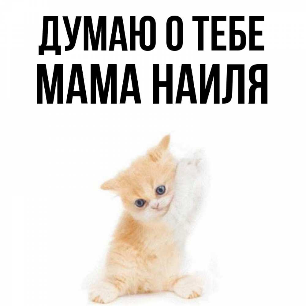 Открытка на каждый день с именем, Мама-Наиля Думаю о тебе зверушки и милота Прикольная открытка с пожеланием онлайн скачать бесплатно 