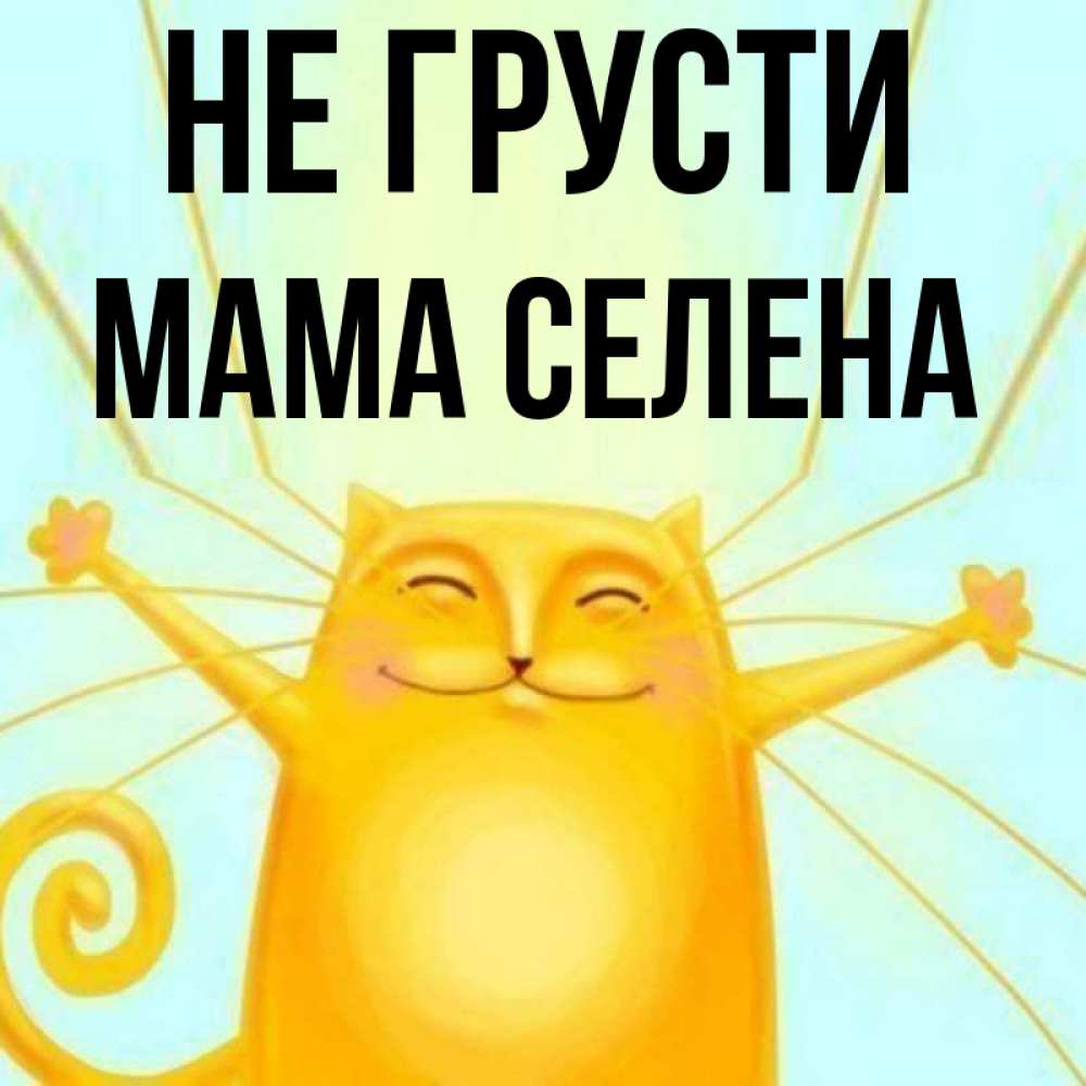 Открытка на каждый день с именем, Мама-Селена Не грусти обнимашки усатые Прикольная открытка с пожеланием онлайн скачать бесплатно 