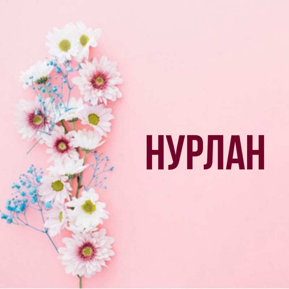 Открытка на каждый день с именем, Нурлан Главная Родная моя с днем рождения тебя картинка с цветами белыми и голубыми Прикольная открытка с пожеланием онлайн скачать бесплатно 