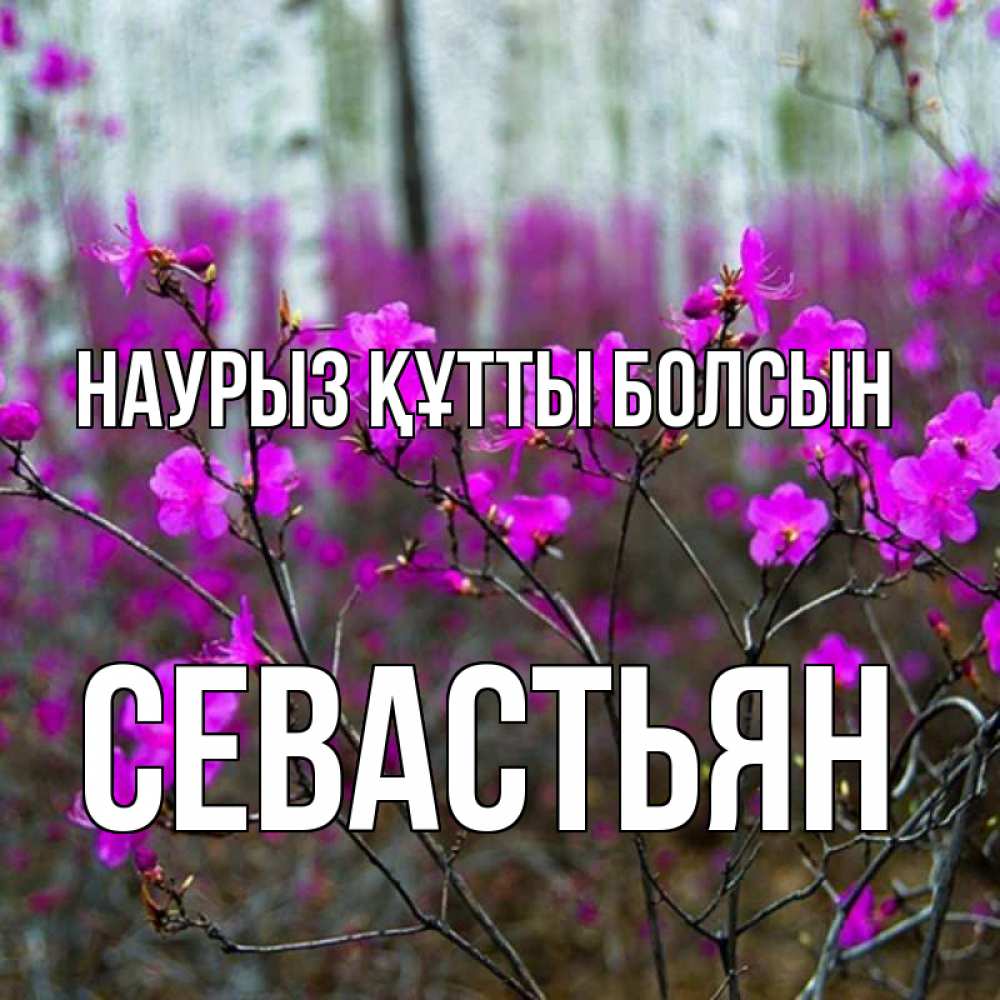 Открытка на каждый день с именем, Севастьян Наурыз құтты болсын дикие цветы Прикольная открытка с пожеланием онлайн скачать бесплатно 