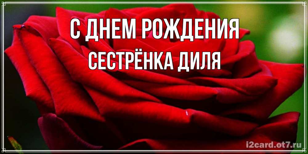Открытка на каждый день с именем, Сестрёнка-Диля С днем рождения розочка очень красивая Прикольная открытка с пожеланием онлайн скачать бесплатно 