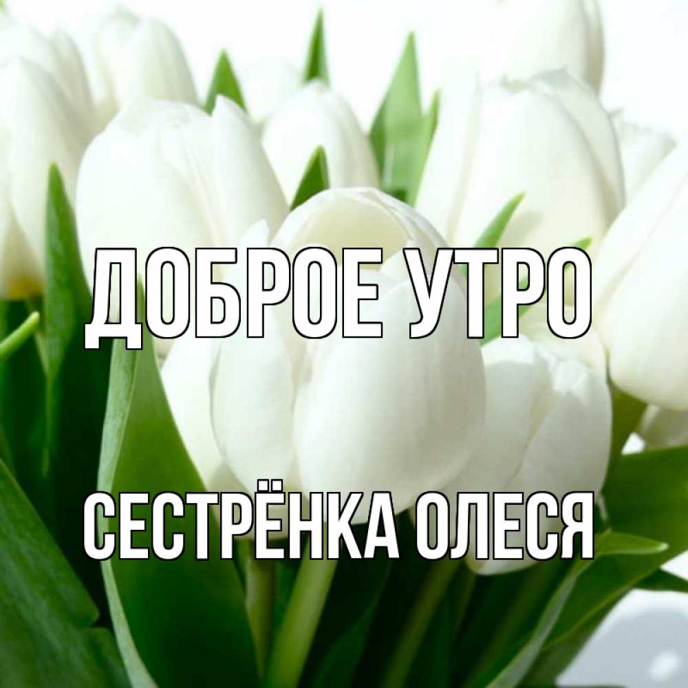 Открытка на каждый день с именем, Сестрёнка-Олеся Доброе утро открытки на каждый день по именам Прикольная открытка с пожеланием онлайн скачать бесплатно 