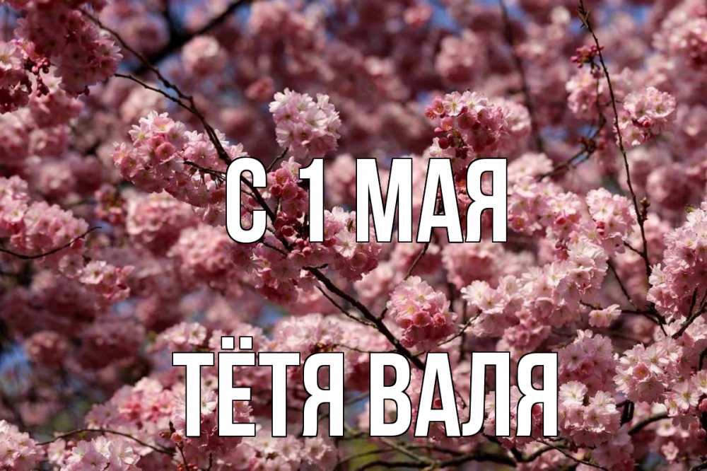Открытка на каждый день с именем, Тётя-Валя С 1 мая С 1 мая Прикольная открытка с пожеланием онлайн скачать бесплатно 