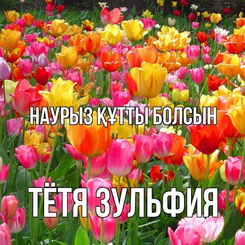Открытка на каждый день с именем, Тётя-Зульфия Наурыз құтты болсын на наурыз  ура ура Прикольная открытка с пожеланием онлайн скачать бесплатно 