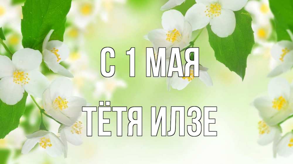 Открытка на каждый день с именем, Тётя-Илзе С 1 мая С 1 мая Прикольная открытка с пожеланием онлайн скачать бесплатно 