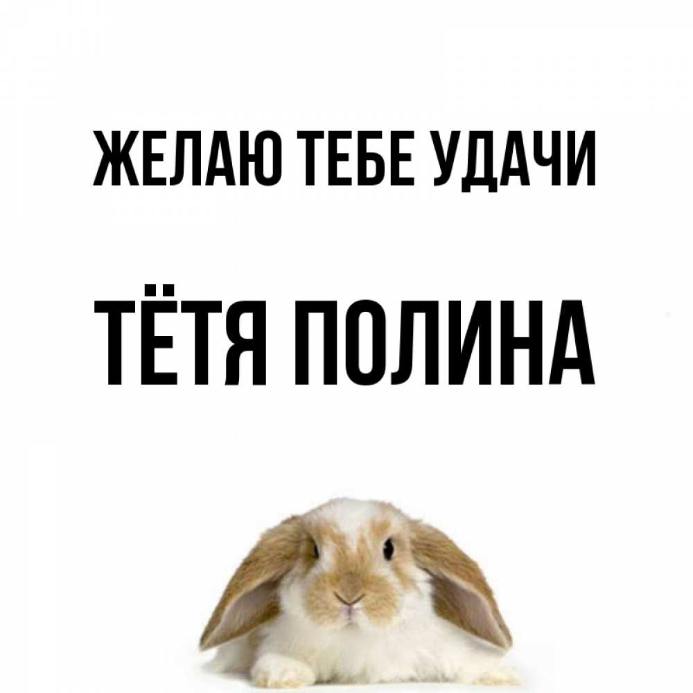 Открытка на каждый день с именем, Тётя-Полина Желаю тебе удачи открытки с произвольным текстом который можно вставить в открытку и создать ее самостоятельно бесплатно онлайн Прикольная открытка с пожеланием онлайн скачать бесплатно 
