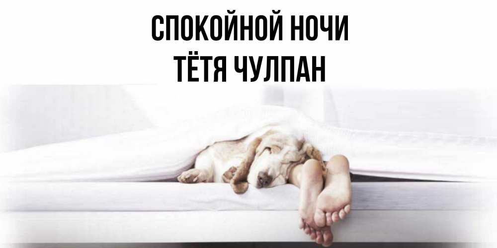 Открытка на каждый день с именем, Тётя-Чулпан Спокойной ночи кровать с собакой пожелание сладких снов и спокойной ночи Прикольная открытка с пожеланием онлайн скачать бесплатно 