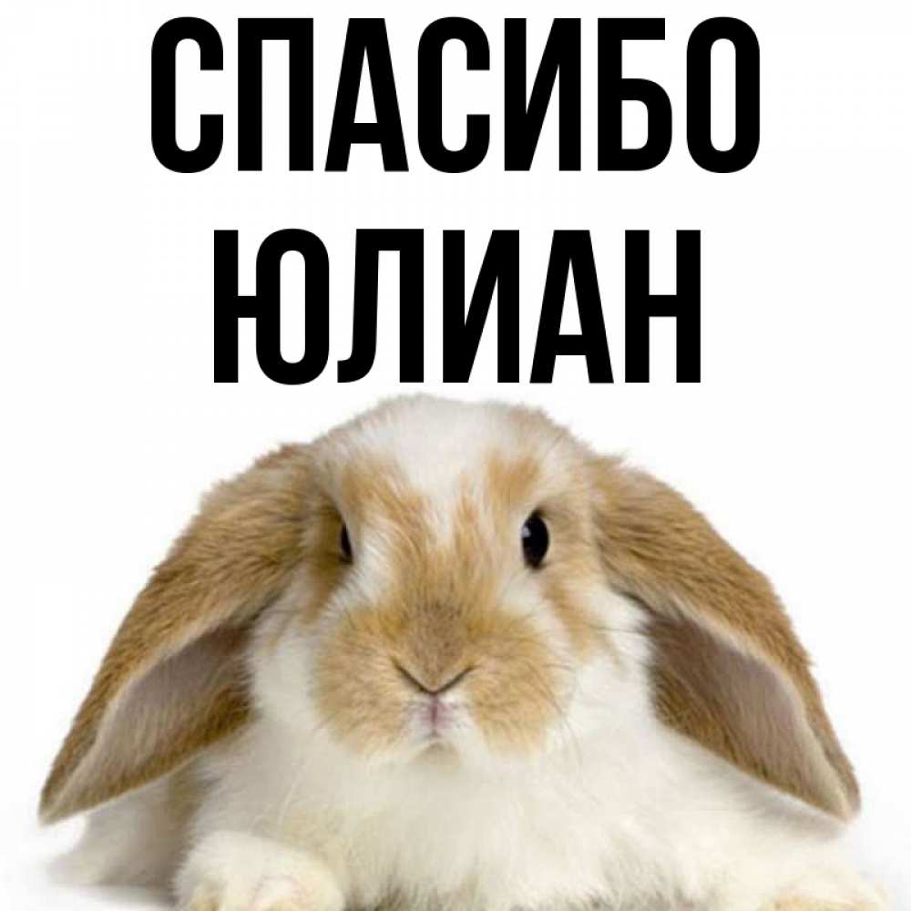 Открытка на каждый день с именем, Юлиан Спасибо коричнево белый заяц Прикольная открытка с пожеланием онлайн скачать бесплатно 