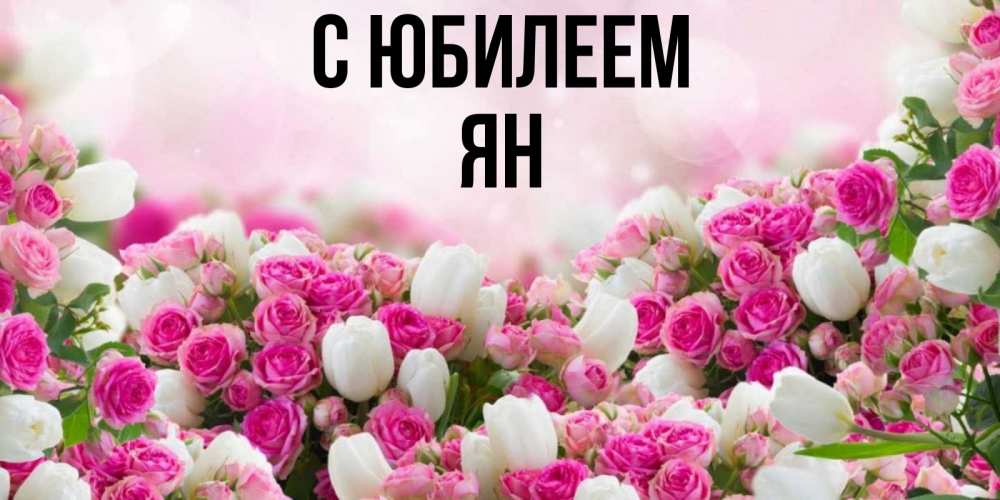 Открытка на каждый день с именем, Ян С юбилеем открытка с разными розами Прикольная открытка с пожеланием онлайн скачать бесплатно 