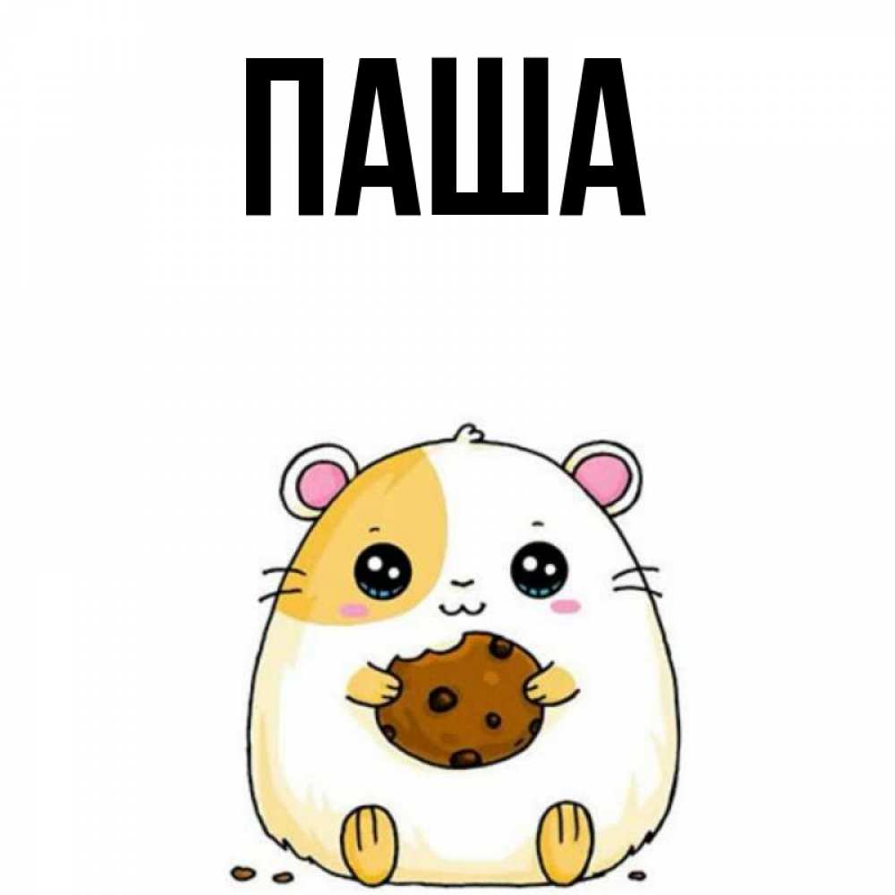 
Картинки Паша