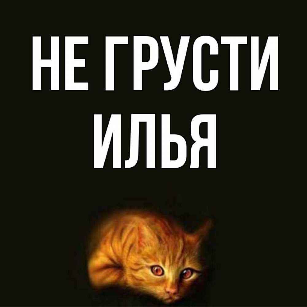 Картинки прикольные с именем илья
