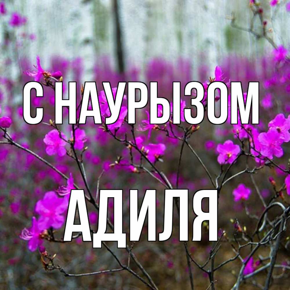 Открытка на каждый день с именем, Адиля С наурызом дикие цветы Прикольная открытка с пожеланием онлайн скачать бесплатно 