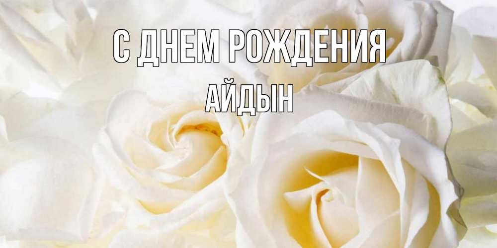 Картинка С днем рождения, Айдын