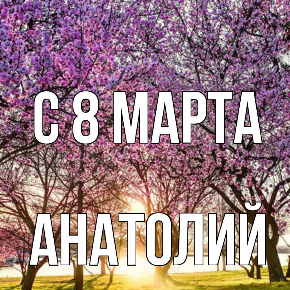 Открытка на каждый день с именем, Анатолий С 8 МАРТА международный женский день Прикольная открытка с пожеланием онлайн скачать бесплатно 