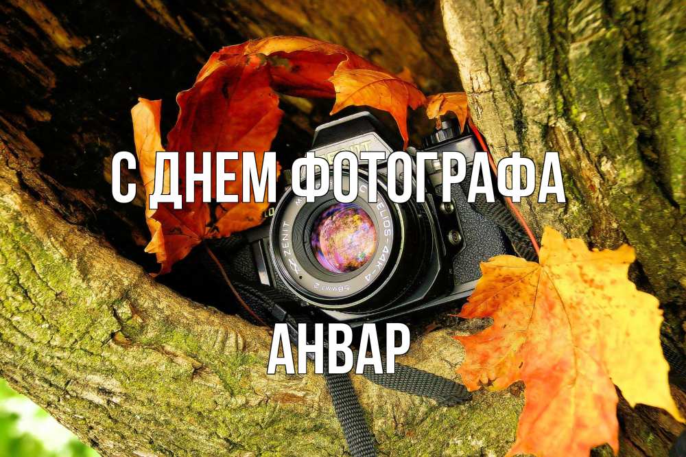 Открытка на каждый день с именем, Анвар С днем фотографа с днем фотографа 1 Прикольная открытка с пожеланием онлайн скачать бесплатно 