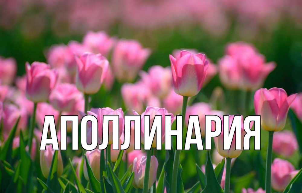 Открытка на каждый день с именем, Аполлинария Главная С 1 мая Прикольная открытка с пожеланием онлайн скачать бесплатно 