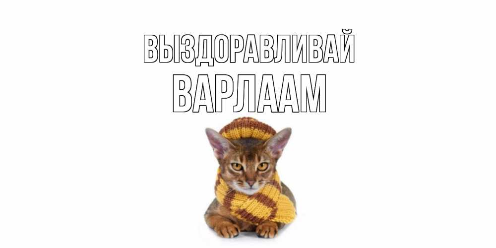 Открытка на каждый день с именем, Варлаам Выздоравливай родные не болейте Прикольная открытка с пожеланием онлайн скачать бесплатно 