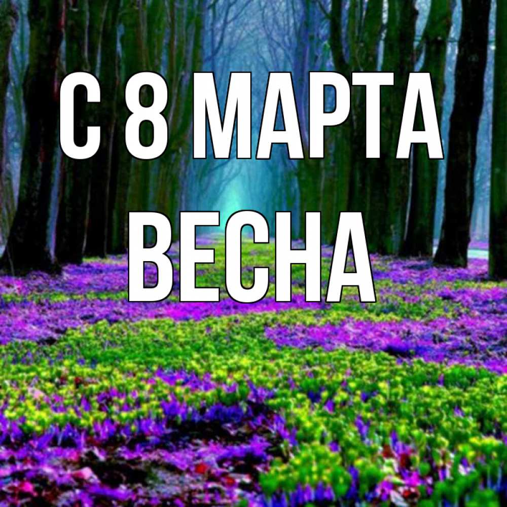 Открытка на каждый день с именем, Весна С 8 МАРТА фиолетовые цветы в лесу 1 Прикольная открытка с пожеланием онлайн скачать бесплатно 