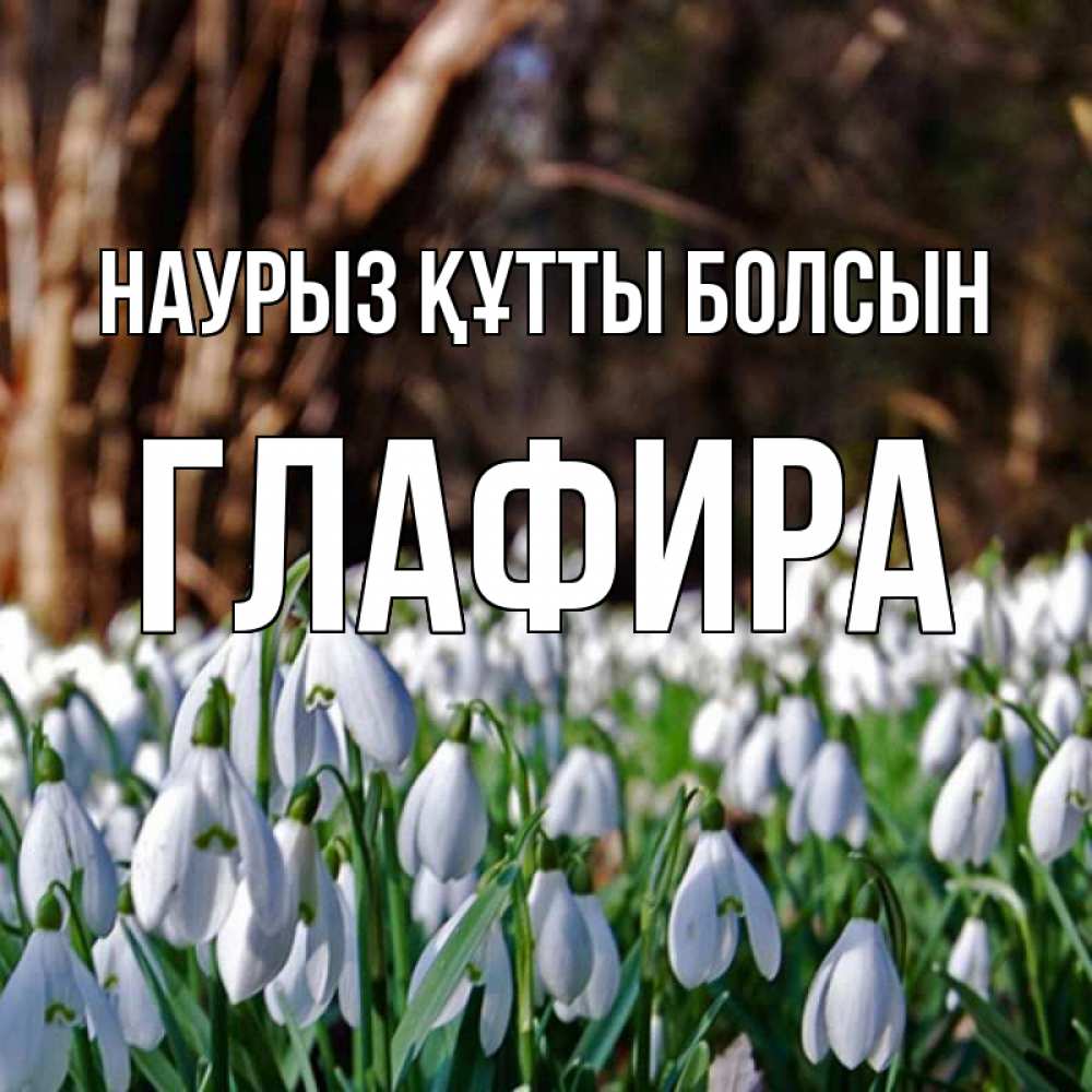 Открытка на каждый день с именем, Глафира Наурыз құтты болсын с подснежниками 1 Прикольная открытка с пожеланием онлайн скачать бесплатно 