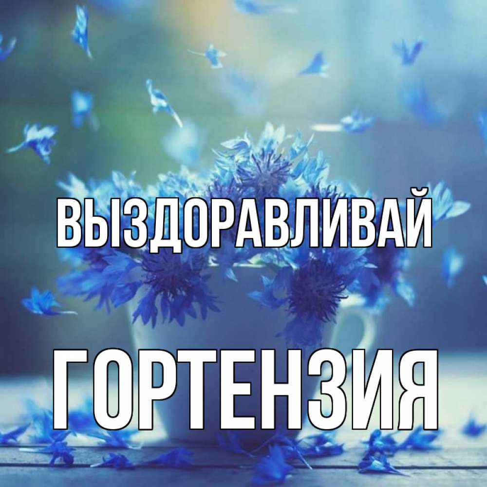 Открытка на каждый день с именем, Гортензия Выздоравливай кружка с зельем и цветами Прикольная открытка с пожеланием онлайн скачать бесплатно 