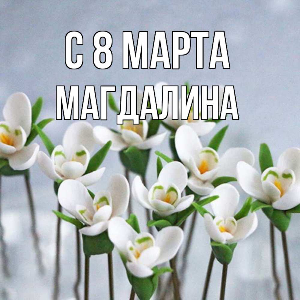 Открытка на каждый день с именем, Магдалина С 8 марта весенние цветы Прикольная открытка с пожеланием онлайн скачать бесплатно 