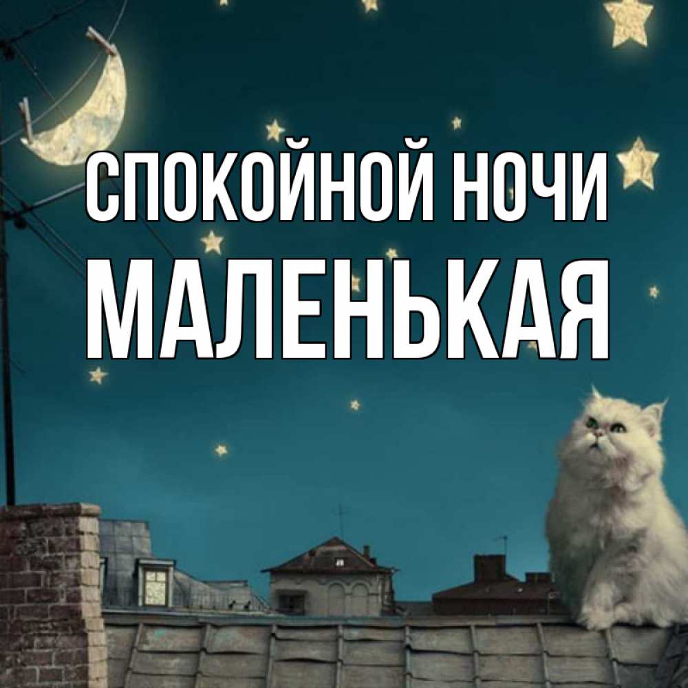 Открытка на каждый день с именем, Маленькая Спокойной ночи белый кот сидит на крыше Прикольная открытка с пожеланием онлайн скачать бесплатно 