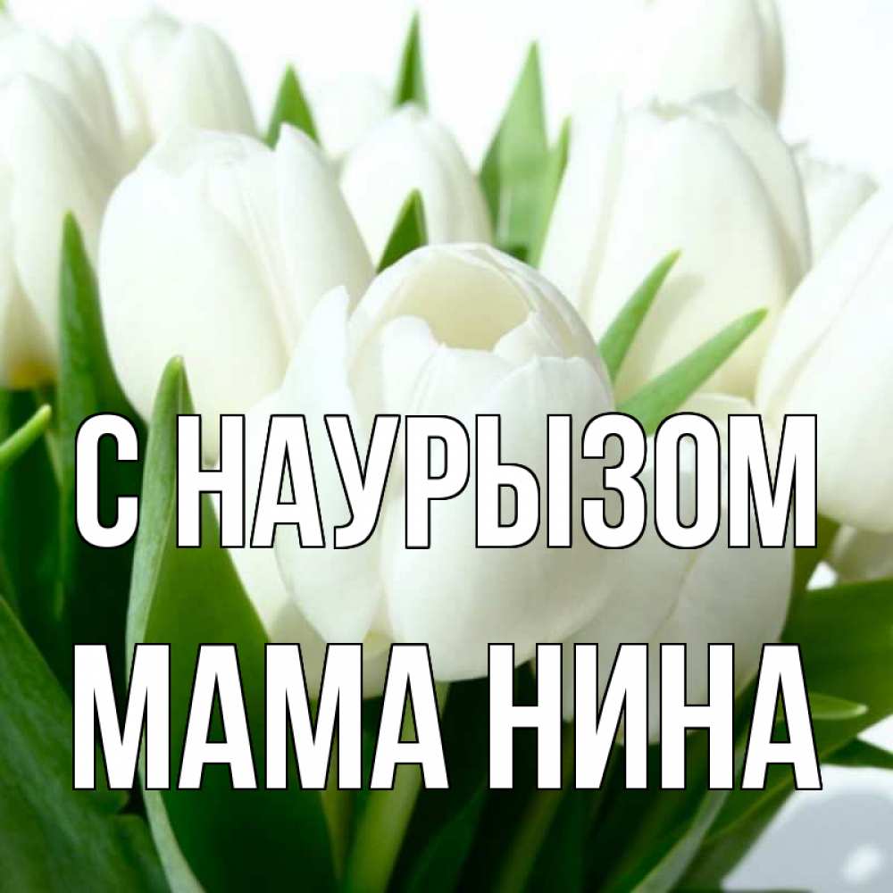 Открытка на каждый день с именем, Мама-Нина С наурызом цветы Прикольная открытка с пожеланием онлайн скачать бесплатно 