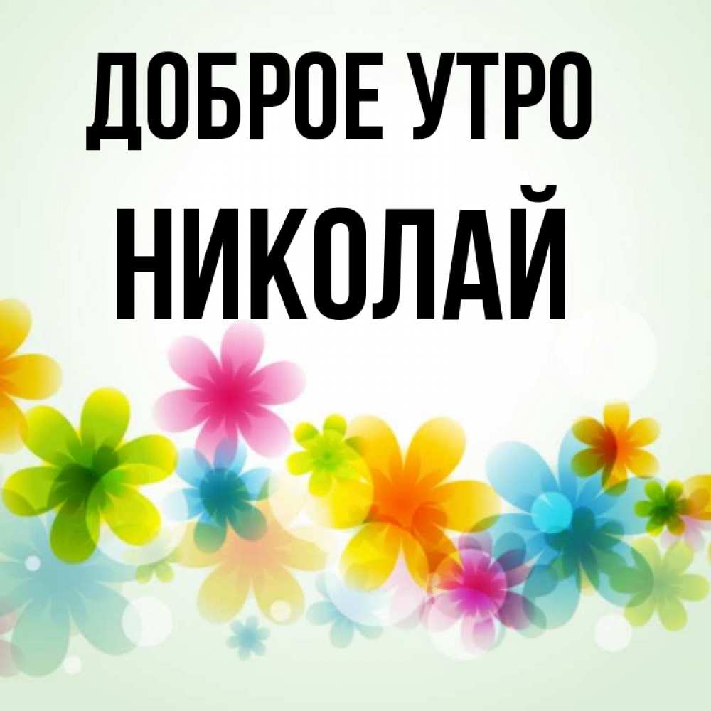 Николай Доброе Утро