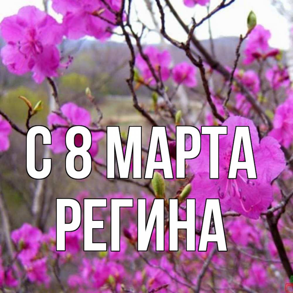 Открытка на каждый день с именем, Регина С 8 марта международный женский день Прикольная открытка с пожеланием онлайн скачать бесплатно 