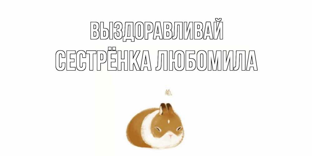 Открытка на каждый день с именем, Сестрёнка-Любомила Выздоравливай морская свинка на открытке с пожеланиями не болеть Прикольная открытка с пожеланием онлайн скачать бесплатно 
