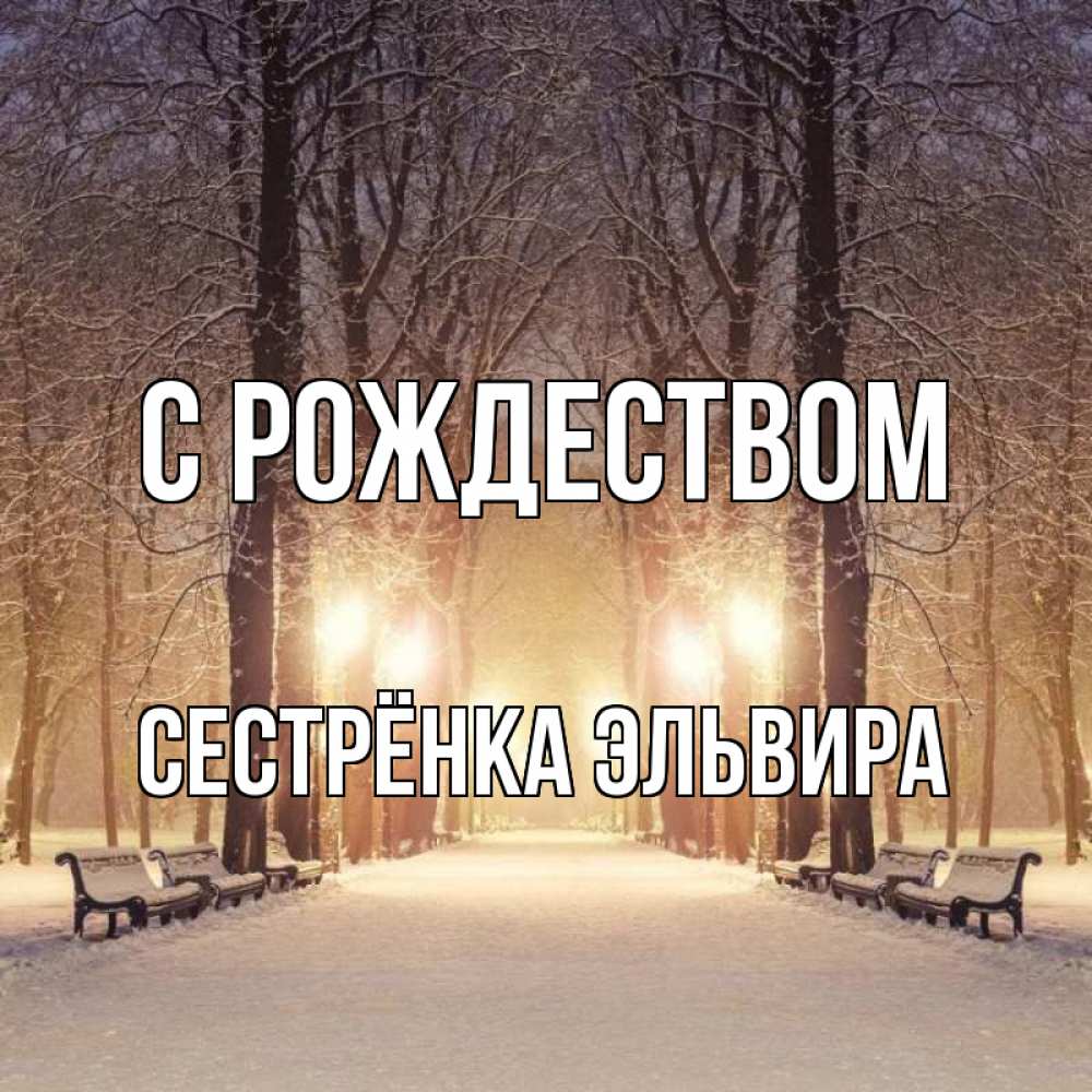 Открытка на каждый день с именем, Сестрёнка-Эльвира С рождеством зима, парк, фонарь, лес Прикольная открытка с пожеланием онлайн скачать бесплатно 