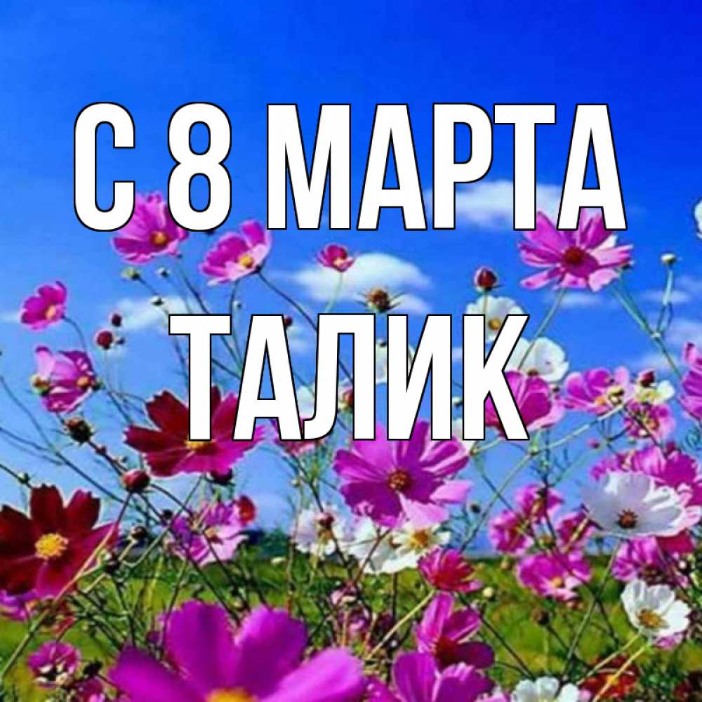 Открытка на каждый день с именем, Талик С 8 марта цветы Прикольная открытка с пожеланием онлайн скачать бесплатно 
