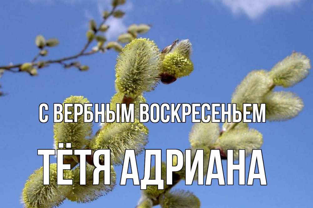 Открытка на каждый день с именем, Тётя-Адриана С вербным воскресеньем верба Прикольная открытка с пожеланием онлайн скачать бесплатно 