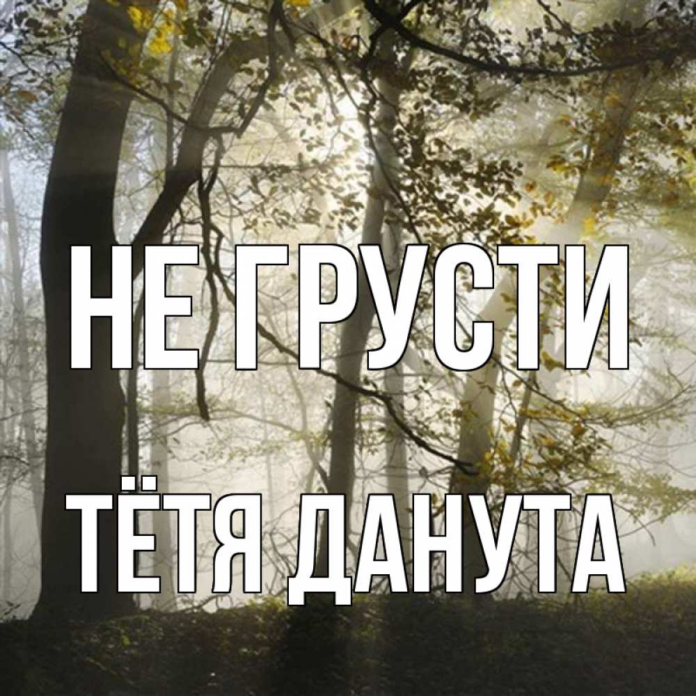 Открытка на каждый день с именем, Тётя-Данута Не грусти лес и свет Прикольная открытка с пожеланием онлайн скачать бесплатно 