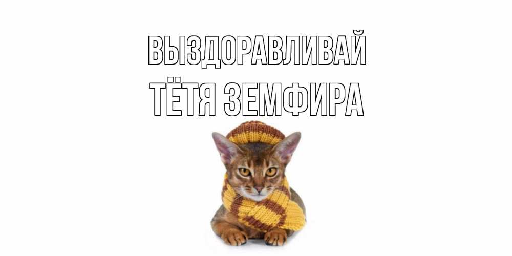 Открытка на каждый день с именем, Тётя-Земфира Выздоравливай родные не болейте Прикольная открытка с пожеланием онлайн скачать бесплатно 