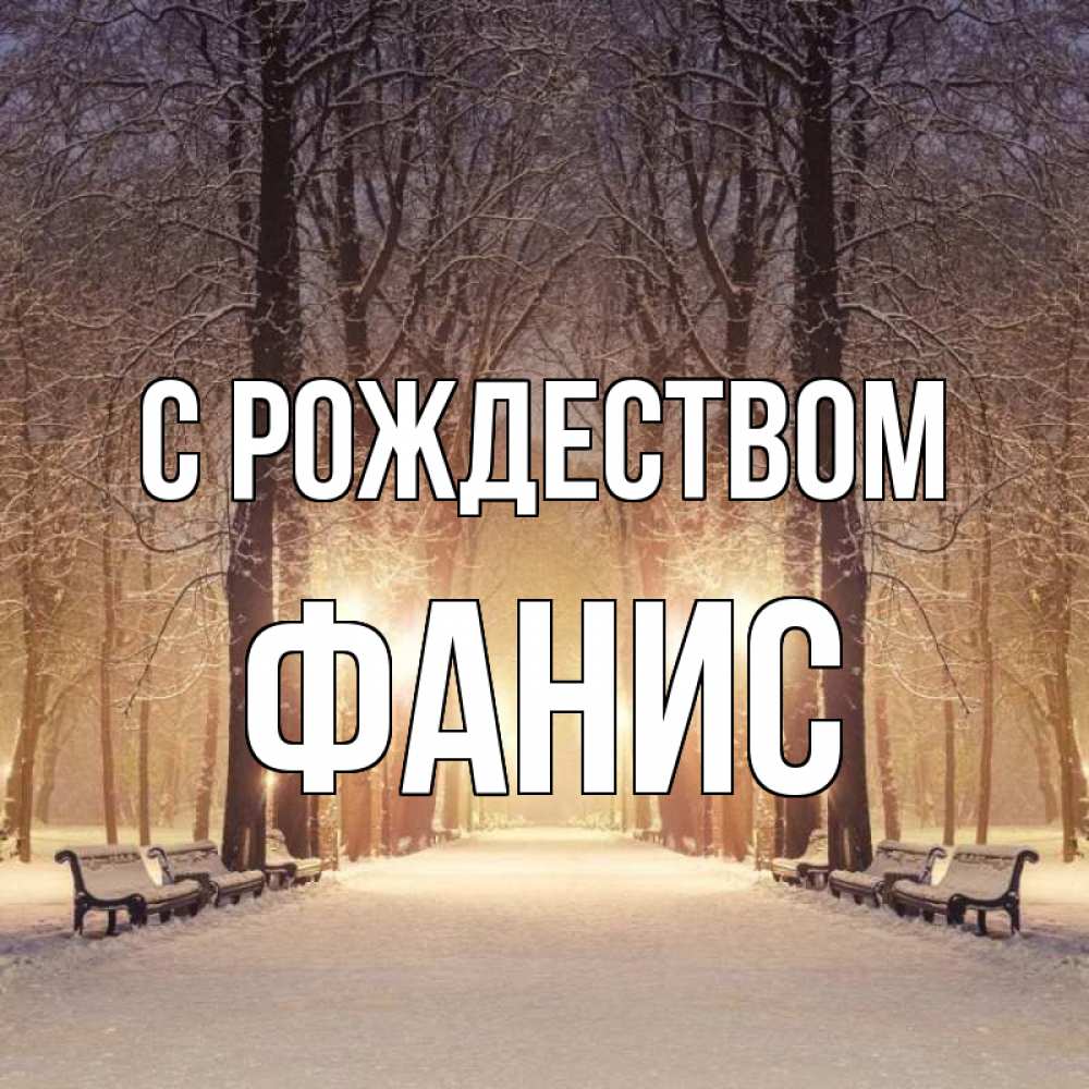 Открытка на каждый день с именем, Фанис С рождеством зима, парк, фонарь, лес Прикольная открытка с пожеланием онлайн скачать бесплатно 