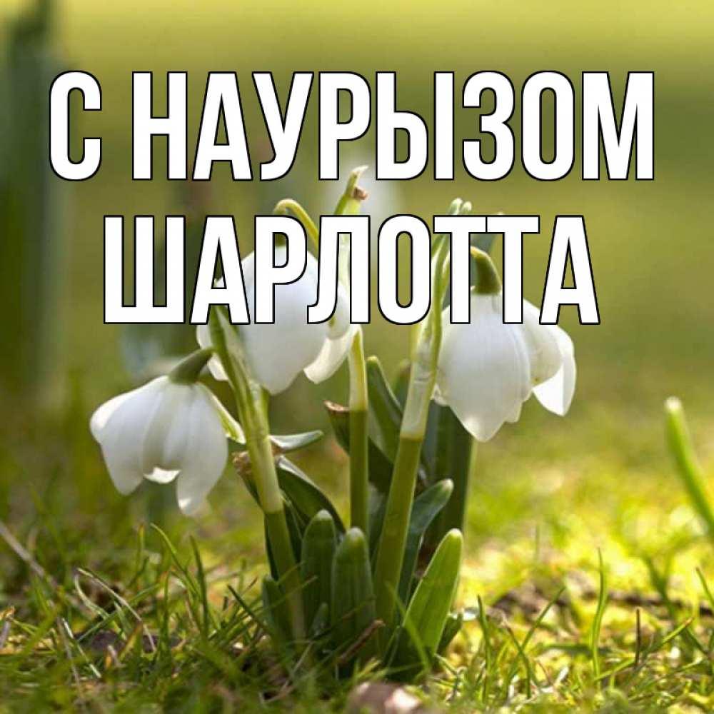 Открытка на каждый день с именем, Шарлотта С наурызом ранние цветы 2 Прикольная открытка с пожеланием онлайн скачать бесплатно 