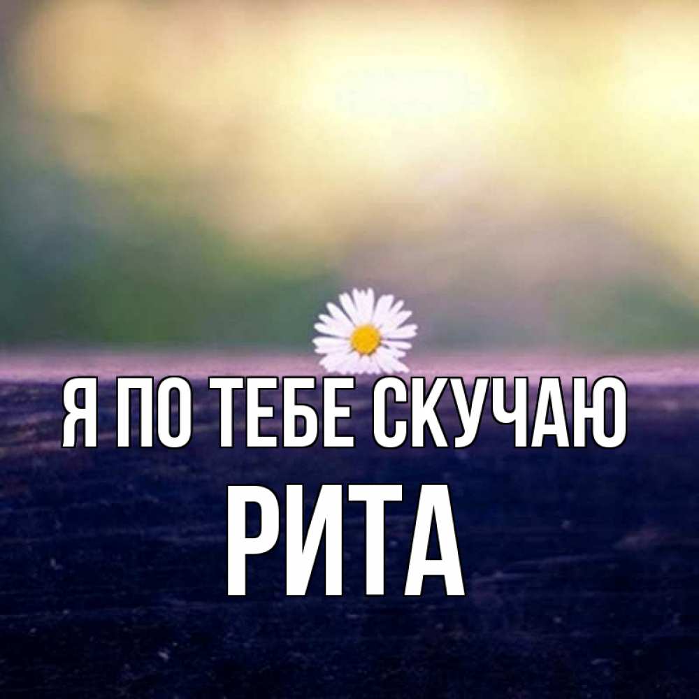 Рита Картинки