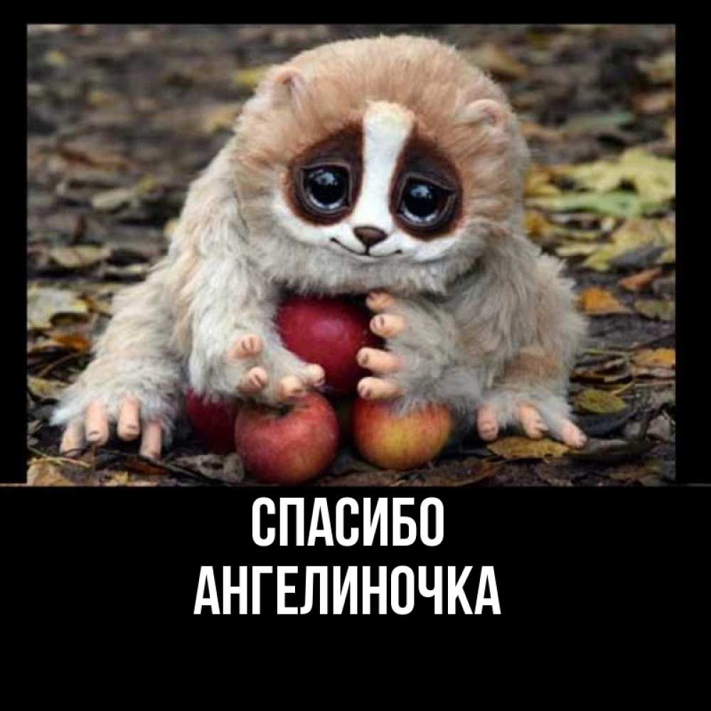 Открытка на каждый день с именем, Ангелиночка Спасибо прикольное животное Прикольная открытка с пожеланием онлайн скачать бесплатно 