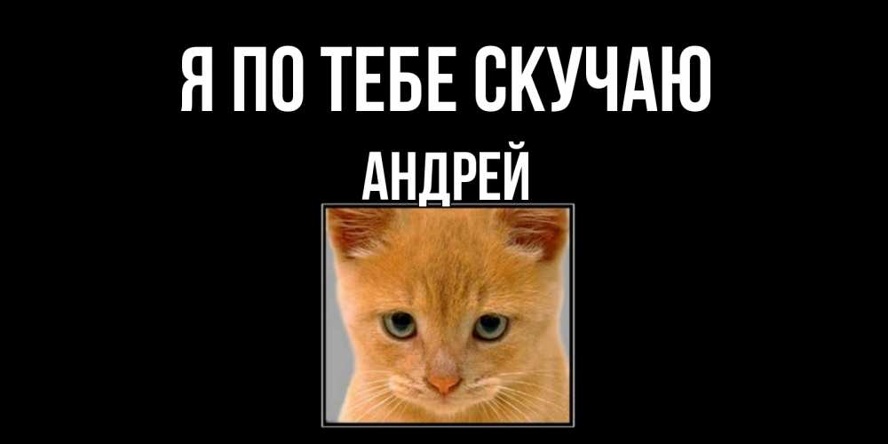Открытка на каждый день с именем, Андрей Я по тебе скучаю открытки рыжий котенок скучает по тебе Прикольная открытка с пожеланием онлайн скачать бесплатно 