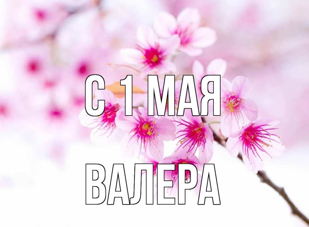 Открытка на каждый день с именем, Валера С 1 мая С 1 мая 2 Прикольная открытка с пожеланием онлайн скачать бесплатно 