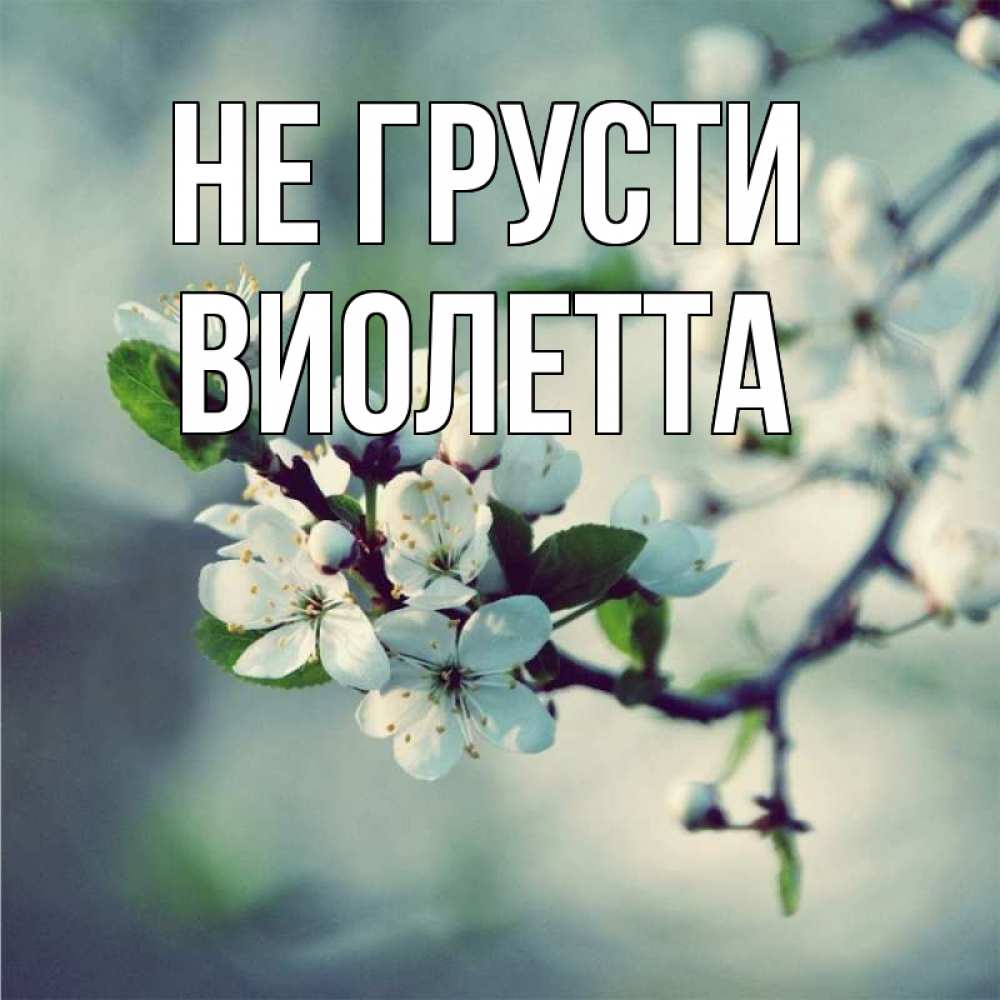 Открытка на каждый день с именем, Виолетта Не грусти яблоня в цвету 1 Прикольная открытка с пожеланием онлайн скачать бесплатно 